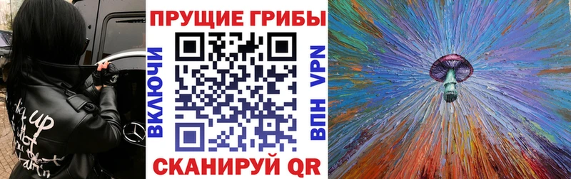 Псилоцибиновые грибы GOLDEN TEACHER  darknet формула  Норильск 